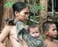 Malesia: deforestazione e stupri contro gli indigeni Penan