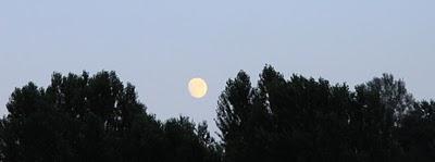 guarda che luna... guarda che luna...