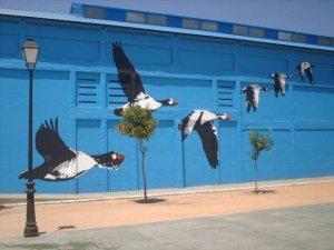 Gli uccelli di Doñana sono un museo a cielo aperto