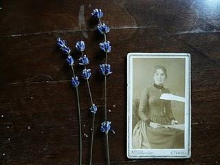 Come essiccare e usare i fiori secchi Come essiccare e usare i fiori secchi