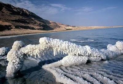 Mar Morto acqua dolce microrganismi