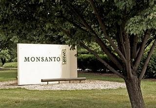 L'India denuncia la multinazionale Monsanto per bioterrorismo
