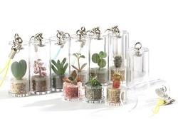 Ambiente: Arrivano le mini piante Minì