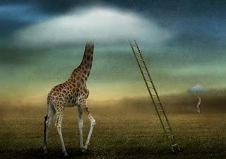 la fotografia surrealista di Ben Goossens