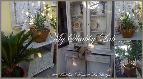 My Shabby Lab My Shabby Lab