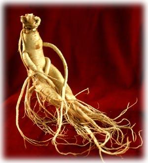 Più sesso col ginseng