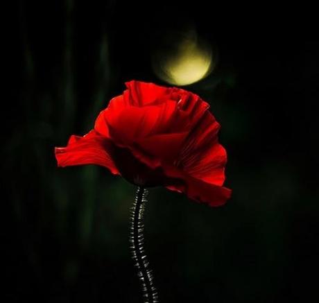 Le nostre parti... Le nostre parti...