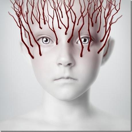 clip_image002 clip_image002