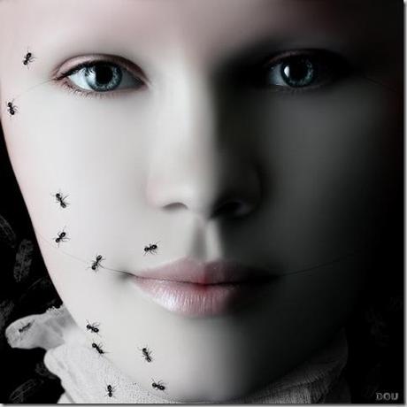 clip_image012 clip_image012