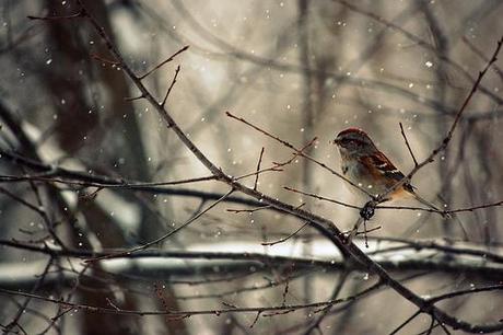 …e poi ci sono quegli appetiti …e poi ci sono quegli appetiti