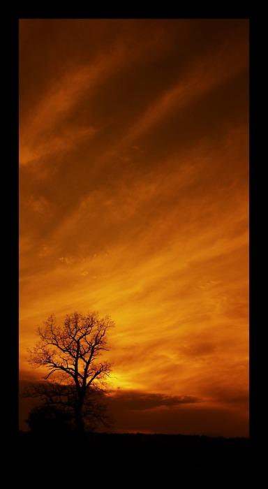 L'aspetto più sorprendente della relazionalità... L'aspetto più sorprendente della relazionalità...