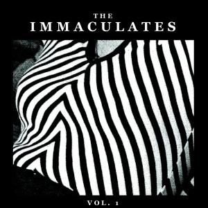 (drum'n'bass) THE IMMACULATES - Hey Joe Kelly