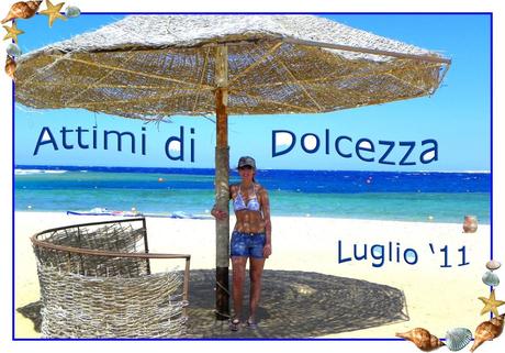 2° ANNO DI BLOG 2° ANNO DI BLOG