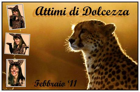 2° ANNO DI BLOG 2° ANNO DI BLOG