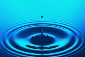 VITTORIA!!! VITTORIA!!!