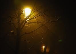 Nebbia di notte