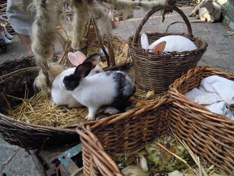 The Middle Ages in San Marino The Middle Ages in San Marino