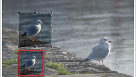 crop-plugin-jquery crop-plugin-jquery