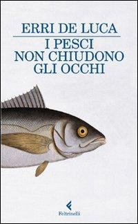 Recensione Libro “I pesci non chiudono gli occhi”