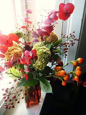 Celosia cristata detta cresta di gallo Celosia cristata detta cresta di gallo