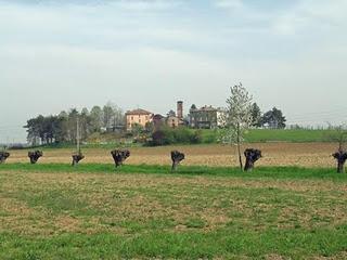 Passeggiata ecologica a Fidenza