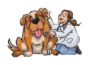 Test ammissione veterinaria