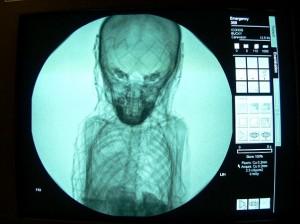 raggix Scoperto un sarcofago dal valore inestimabile al Torquay Museum