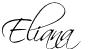 L’ Araucaria Image and video hosting by TinyPic