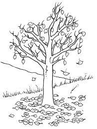 L'autunno: fra parole e disegni L'autunno: fra parole e disegni