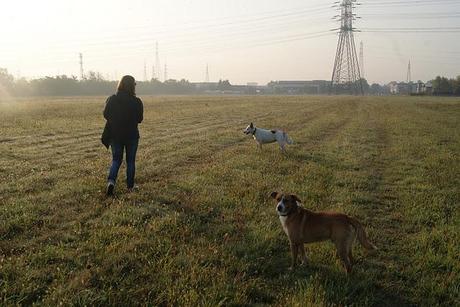 MAMMA E BLOGGER: MATTINATA IN CAMPAGNA?!