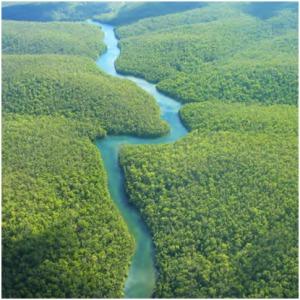 FlowingRiver_RioAmazonas: la più grande installazione d’arte mai realizzata, simbolo dello sviluppo sostenibile, navigherà il Rio delle Amazzoni