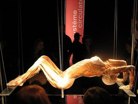 Body Worlds