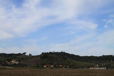 vento di tramontana e polvere