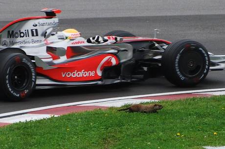 mclaren F1, Lewis Hamilton conquista il pole position del Gran Premio della Corea del Sud