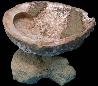 Ocra trovata in una conchiglia del Paleolitico.