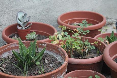 Uno, nessuno, centomila. Uno, nessuno, centomila.