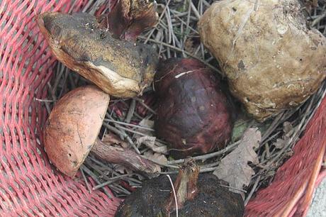 Uno, nessuno, centomila. Uno, nessuno, centomila.