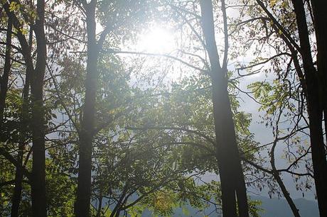 Uno, nessuno, centomila. Uno, nessuno, centomila.