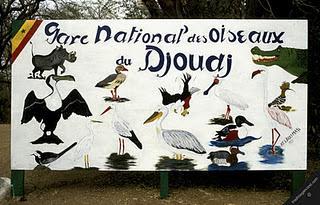 Santuario nazionale degli uccelli di Djoudji