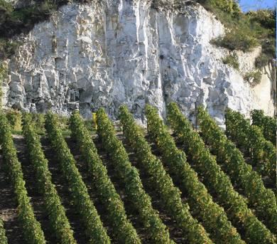 Due Champagne di terroir: Agrapart e Benoit Lahaye