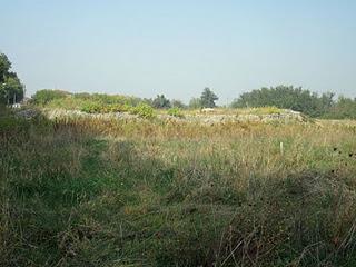 Istituto Solari: interviene il Consigliere provinciale Manfredo Pedroni Istituto Solari: interviene il Consigliere provinciale Manfredo Pedroni