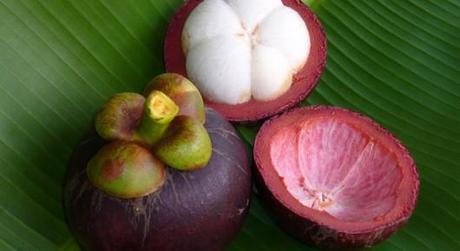 mangosteen_benefici