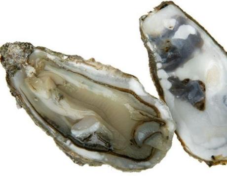 Ostriche Insalata di indivia con le ostriche