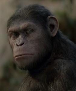 Foto di Cesare, protagonista dell'Alba del Pianeta delle Scimmie