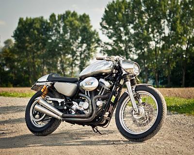 DK Sportster DK Sportster
