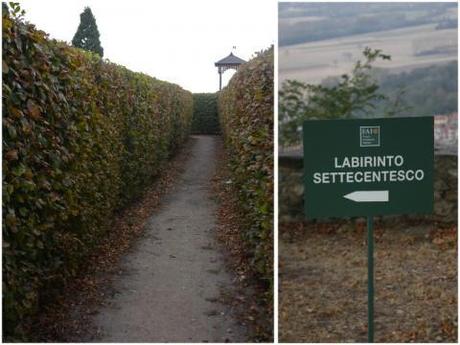 Masino è anche giardino!