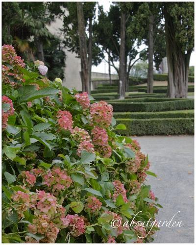 Masino è anche giardino!