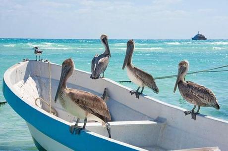 Dal Mediterraneo ai Caraibi e ritorno: le crociere a cavallo dei due mondi di Royal Caribbean.