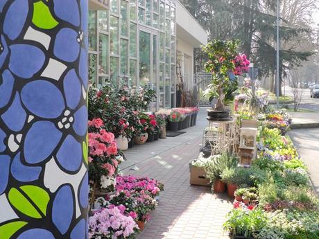 Progettazione retail: Florist Nontiscordardime Progettazione retail: Florist Nontiscordardime