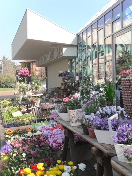 Progettazione retail: Florist Nontiscordardime Progettazione retail: Florist Nontiscordardime